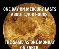 Mondays