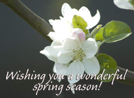 Wishing you a wonderful Spring season