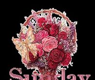 Sunday Flowers