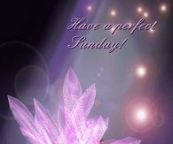 Have a Perfect Sunday