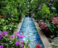 Tropical Water Feature