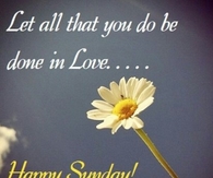 Happy Sunday