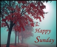 Happy Sunday