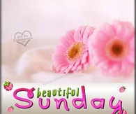Beautiful sunday