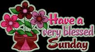 Have a very blessed Sunday