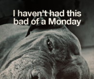 I havent had this bad of a Monday
