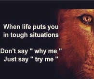 Try Me