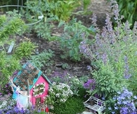 Fairy Garden