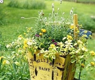 Spring Planter