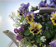 Teapot filled with Spring Flowers
