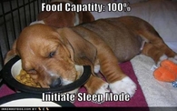 Food Capacity 100&% Activate Sleep Mode