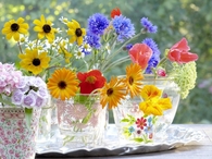 Fresh Cut Flowers