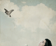 Free bird
