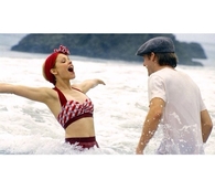 the Notebook