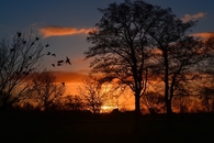 Golden sunset