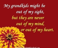 my grandkids