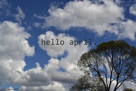 Hello April