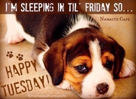 Happy Tuesday