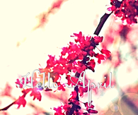 Hello april 