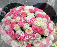 Hello April