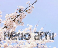 Hello April