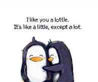 I like you a lottle..