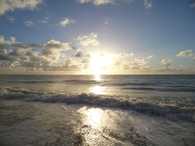 Beach sunset