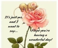 Just want to say hi