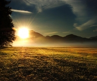 Vigorous Life