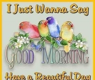 Good Morning