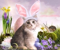 Easter Bunny Kitty
