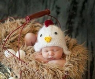 Baby Chick
