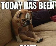 Today has been ruff