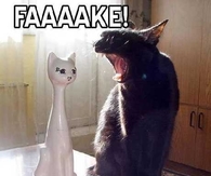 fake