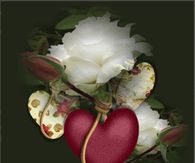 Sunday Blessings to you