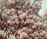Hello April