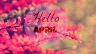 Hello April
