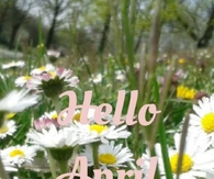 Hello April