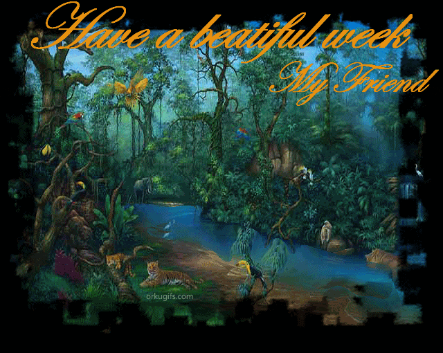 Have a beautiful week my friend!