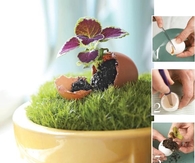 Easter Egg Mini Planter