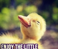 Enjoy the little things God gave us