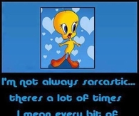 Im not always sarcastic