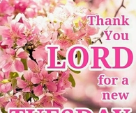 Thank you for a new Tuesday