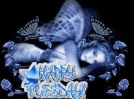 Happy Tuesday
