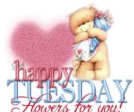Happy Tuesday Flowers for You