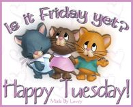 Is it Friday yet? Happy Tuesday!