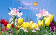 Happy Mothers Day