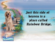 rainbow bridge