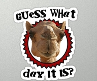 Guess what day it is