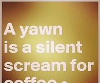 A yawn is a silent scream for coffee